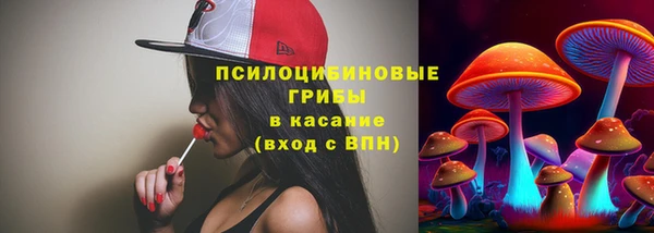 прущие крисы Богородицк