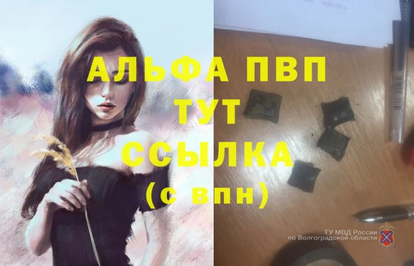 стафф Богородск